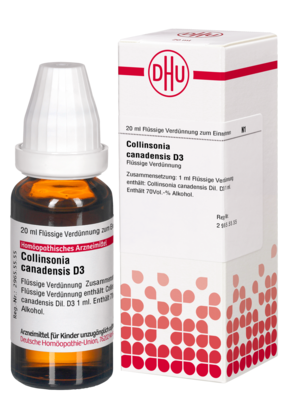 COLLINSONIA CANADENSIS D 3 Dilution